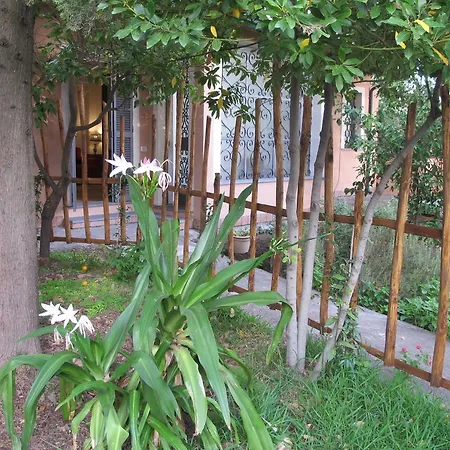 Casa Amaryllis